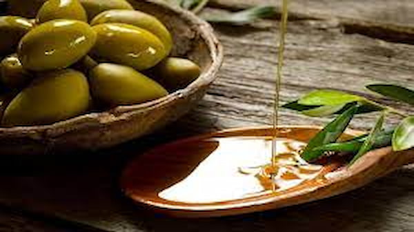 تصویر 3 از قیمت خرید زیتون سبز شیراز + فروش ویژه
